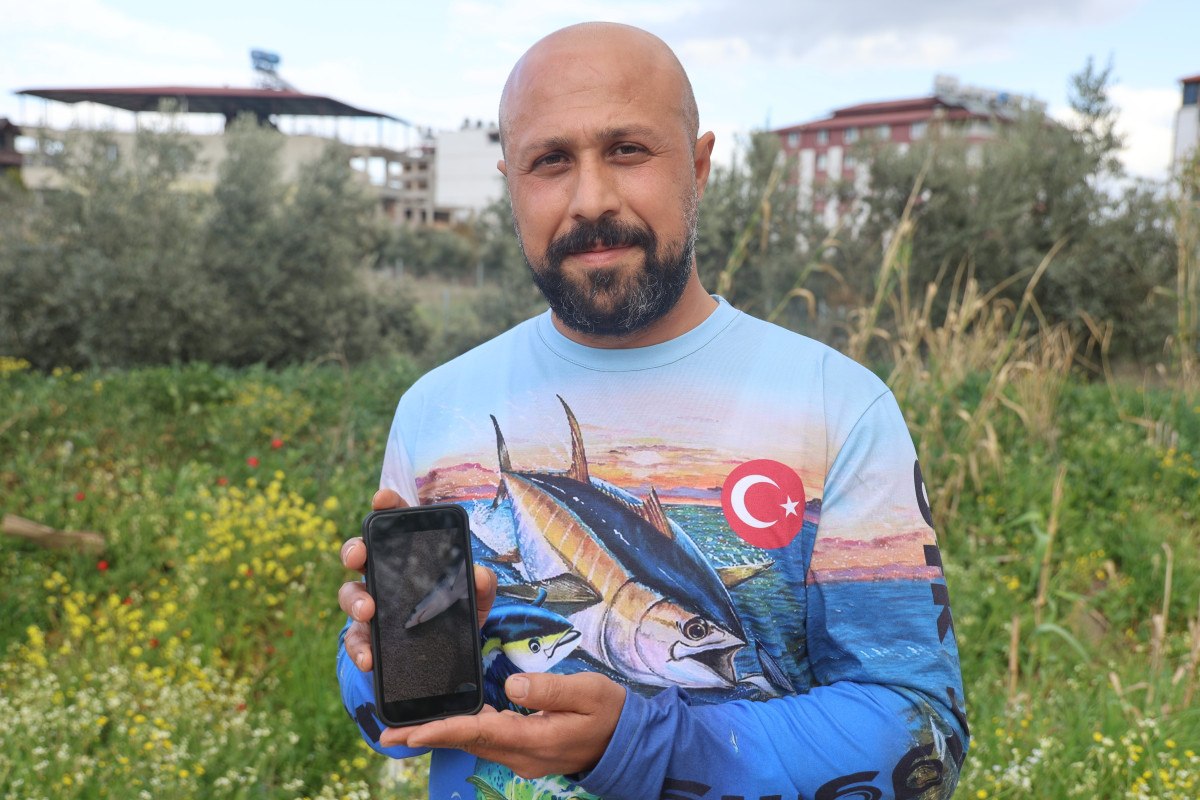 Balık tutarken karşılaştığı köpekbalığını serbest bıraktı