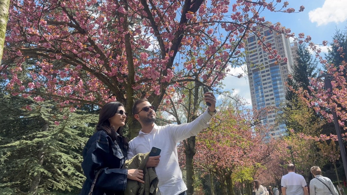 Yeniden Doğuşun ve Umudun Simgesi Sakura Ağaçları, Baharın Gelişiyle Canlanıyor