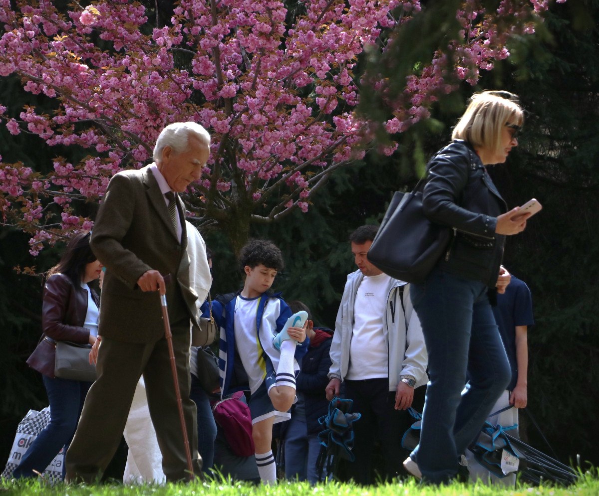 Yeniden Doğuşun ve Umudun Simgesi Sakura Ağaçları, Baharın Gelişiyle Canlanıyor