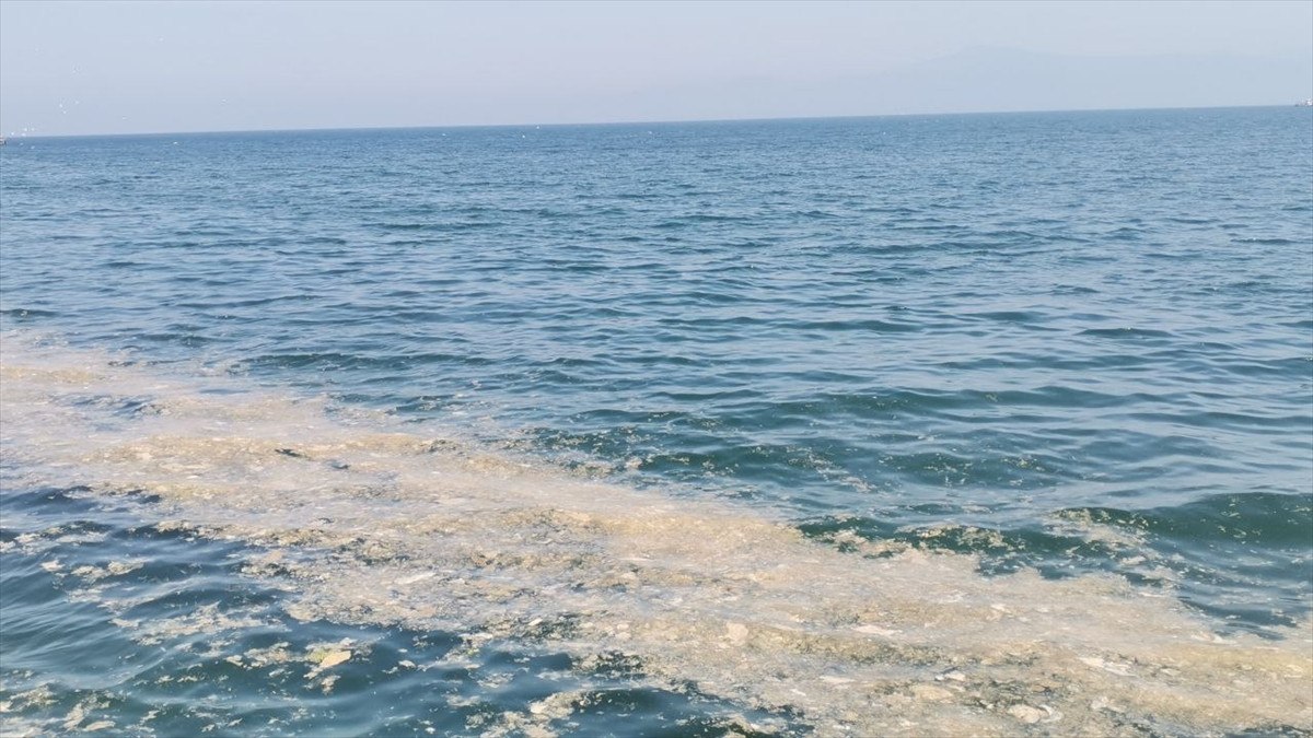 Son Günlerde Mudanya Kıyılarında Görülen Müsilaj Olayı Endişe Verici Boyutlara Ulaştı
