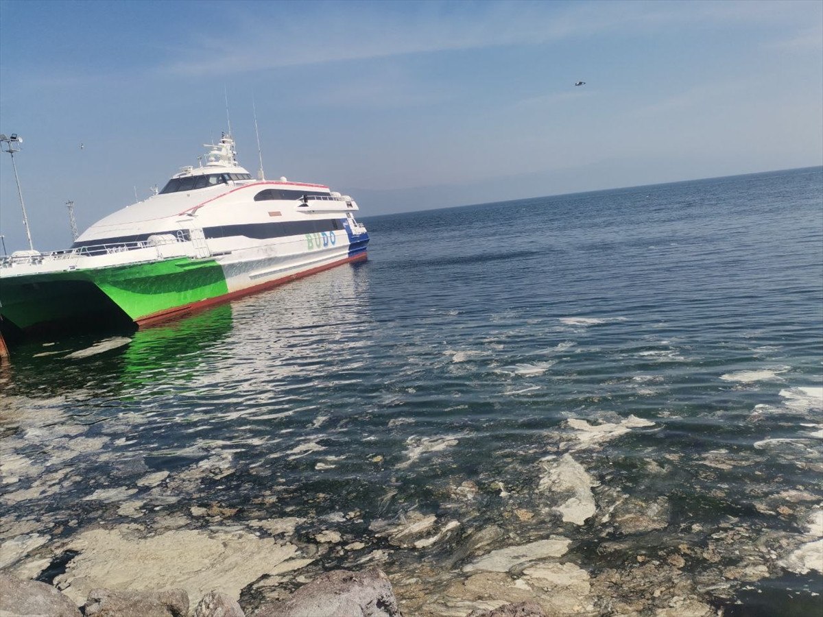 Son Günlerde Mudanya Kıyılarında Görülen Müsilaj Olayı Endişe Verici Boyutlara Ulaştı