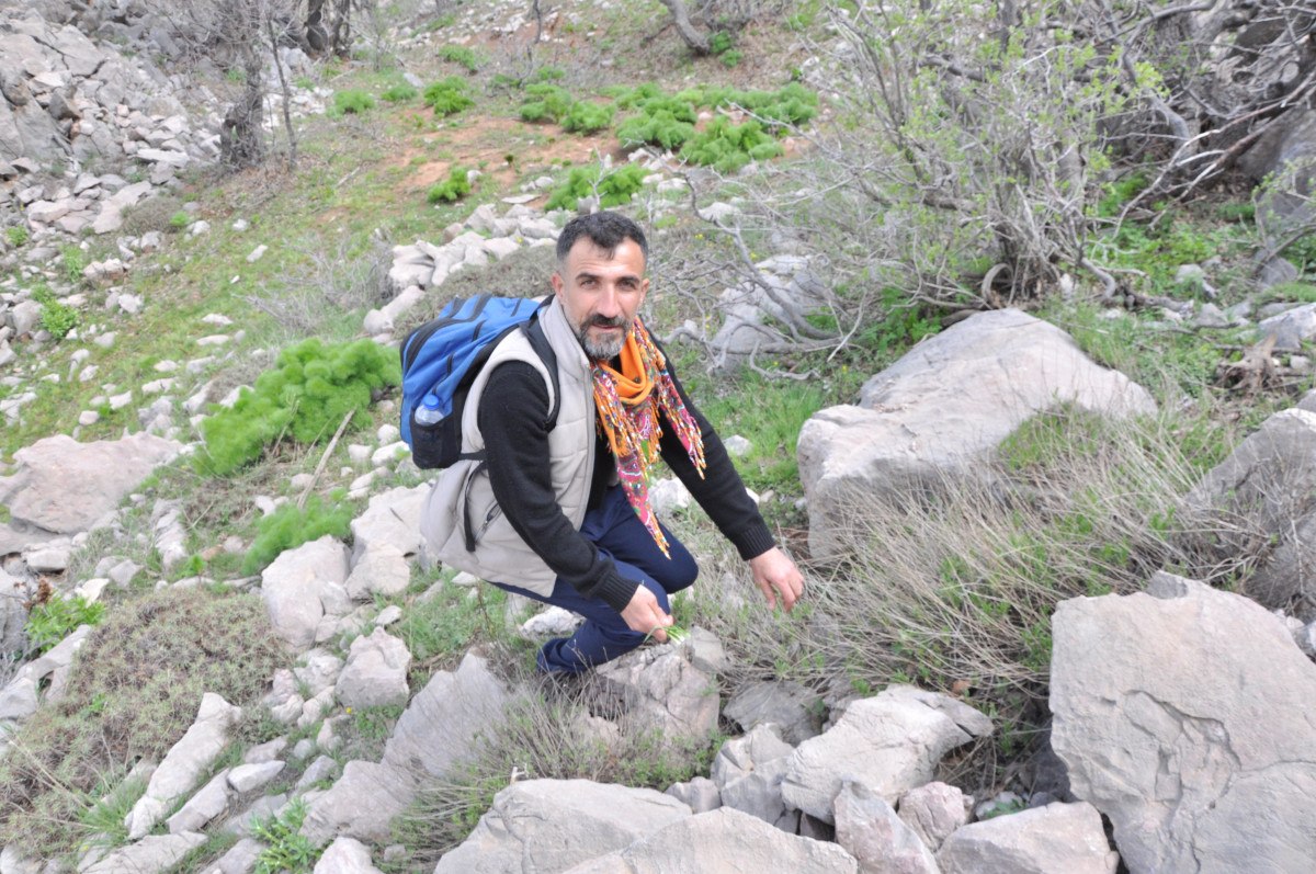 Otların İşlenme Süreci ve Kullanım Alanları