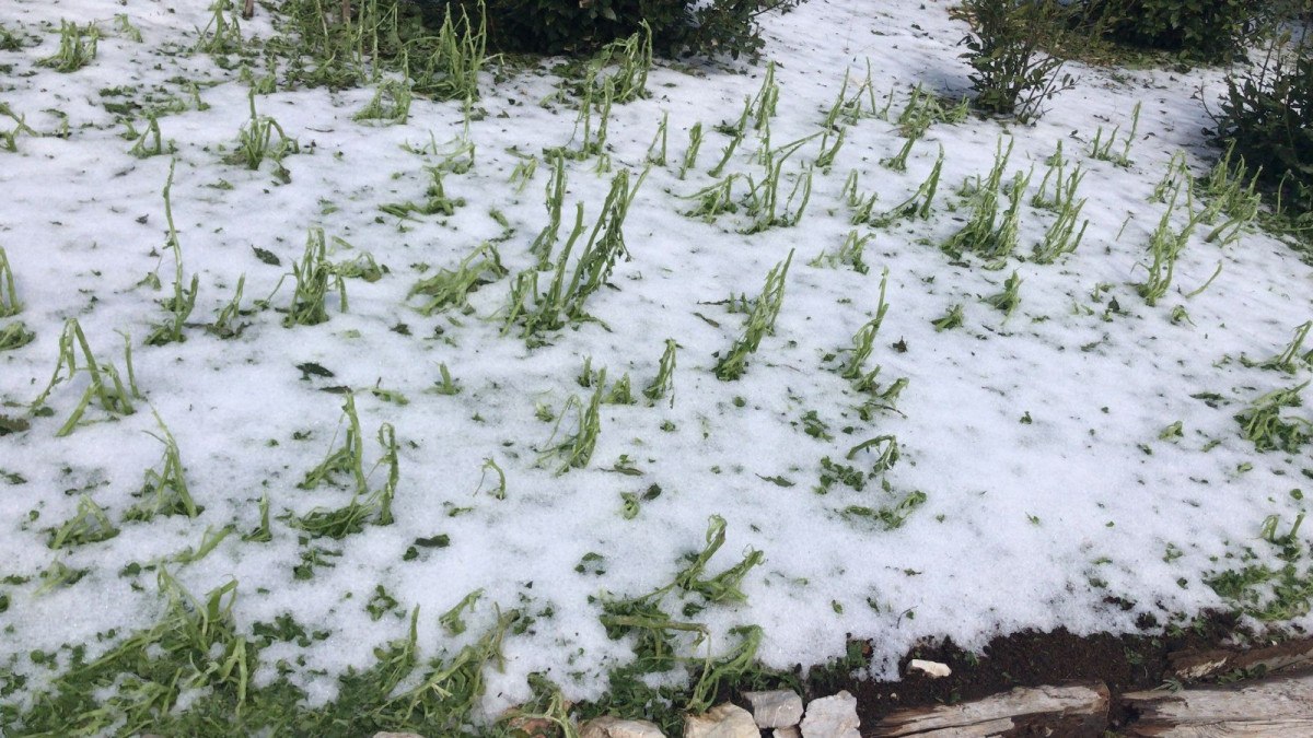 Ulaşımda Çalışmalar ve Gün Doğumuyla Ortaya Çıkan Manzara