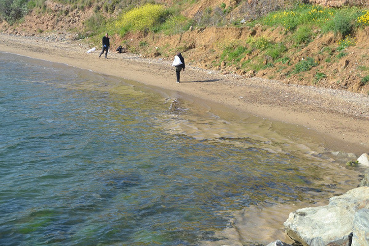 Yalova'nın Armutlu İlçesinde Sahil Boyunca Gözlemlenen Müsilaj