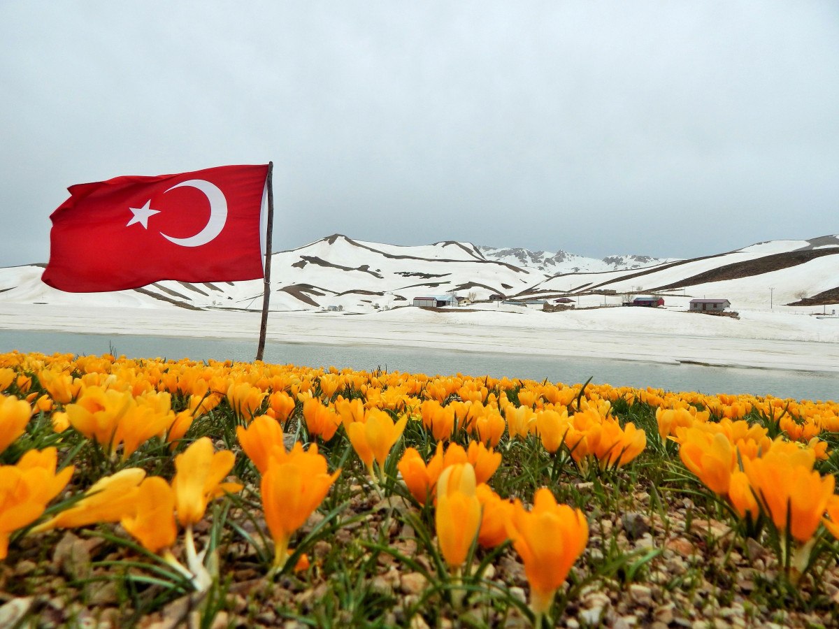 Yaban Hayatının ve Ekosistemin Korunması İçin Toplum Sorumluluğu