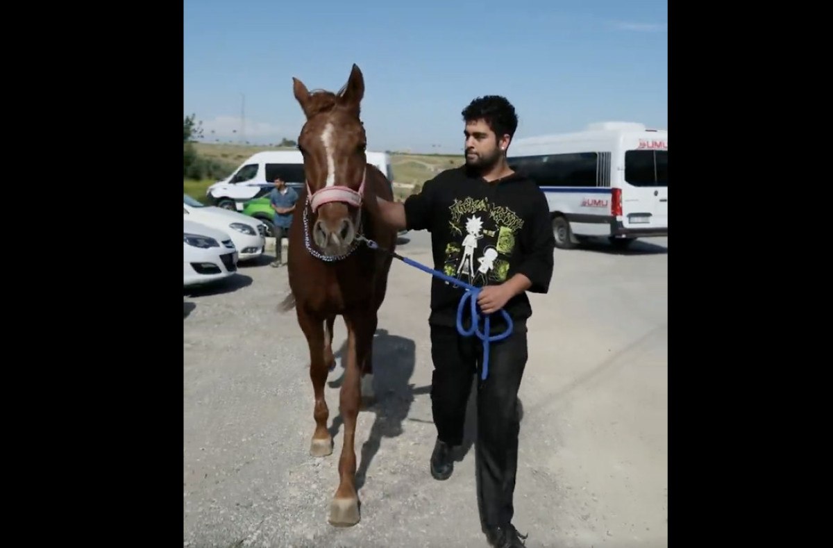 Ben at arabası kullanmadım, ata bindim