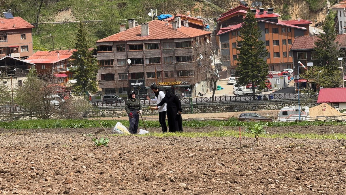 Tarla Belirledi, Renkli Anlar Yaşandı