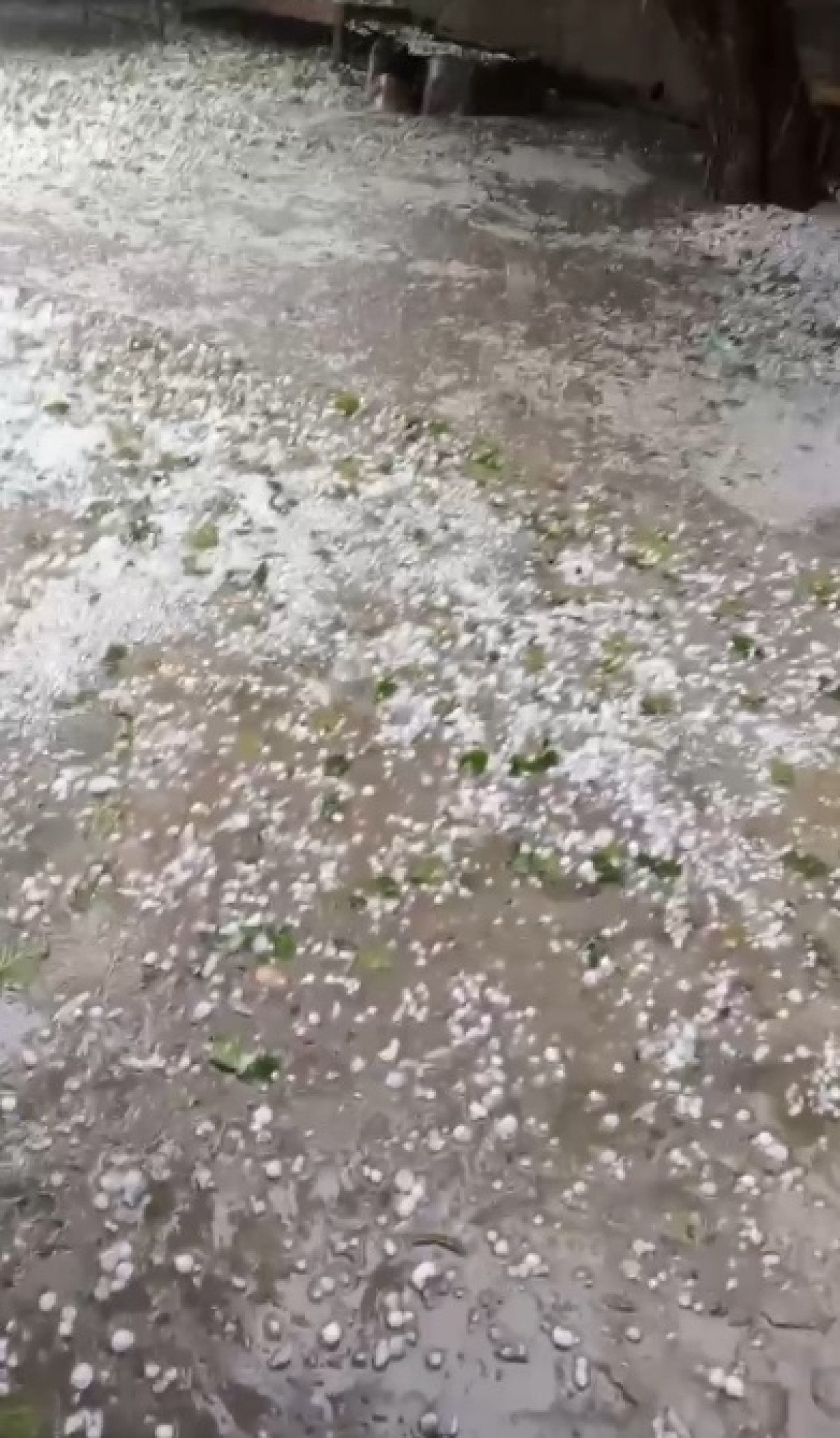 Yurt Genelinde Etkili Olan Hava Durumu ve Bahar Havası