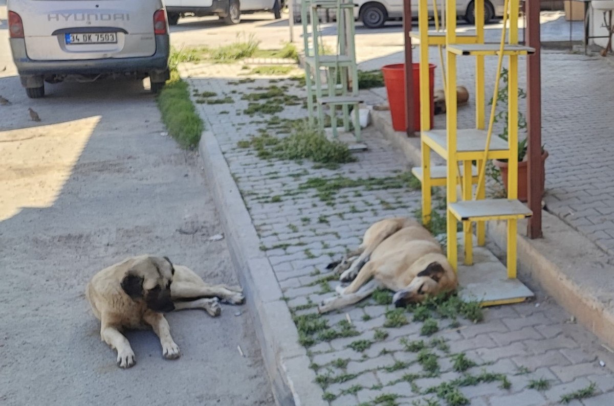 Tarım ve Orman Bakanlığı’nın Uyarısı ve Ceza Uygulamaları