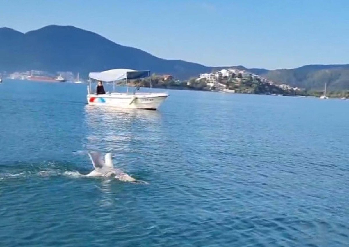 Muğla’nın Fethiye İlçesinde Bir Balıkçının Unutulmaz Deneyimi