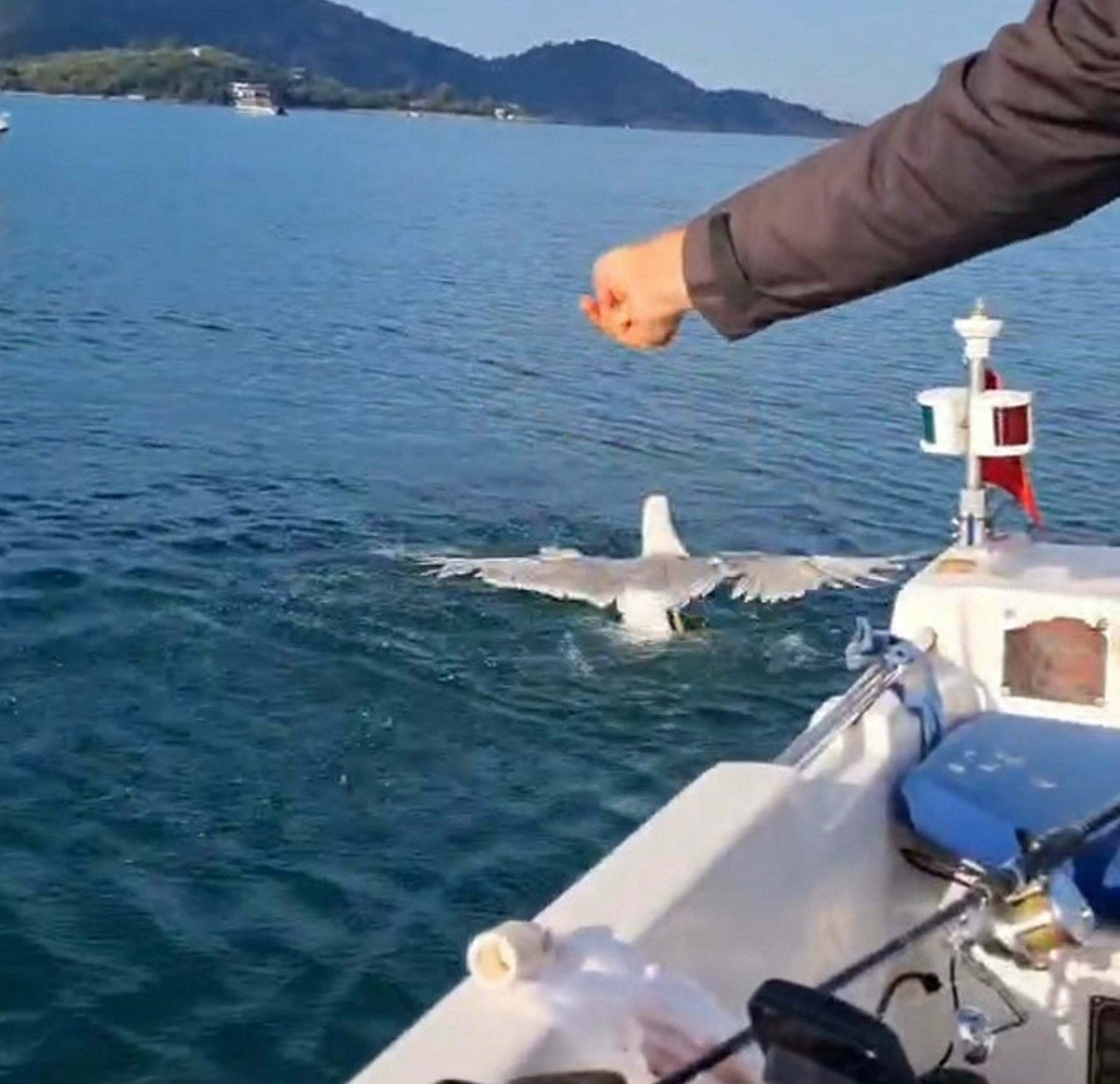 Muğla’nın Fethiye İlçesinde Bir Balıkçının Unutulmaz Deneyimi