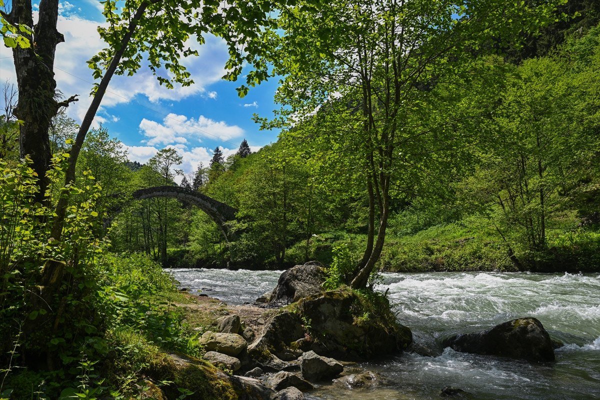 Rize'nin Turizm Potansiyeli ve Yeni Gelişmeler