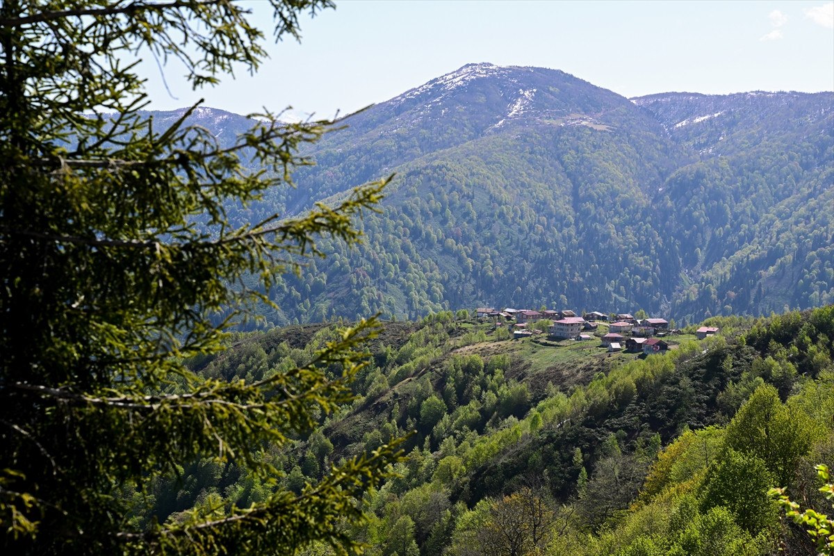 Rize'nin Turizm Potansiyeli ve Yeni Gelişmeler