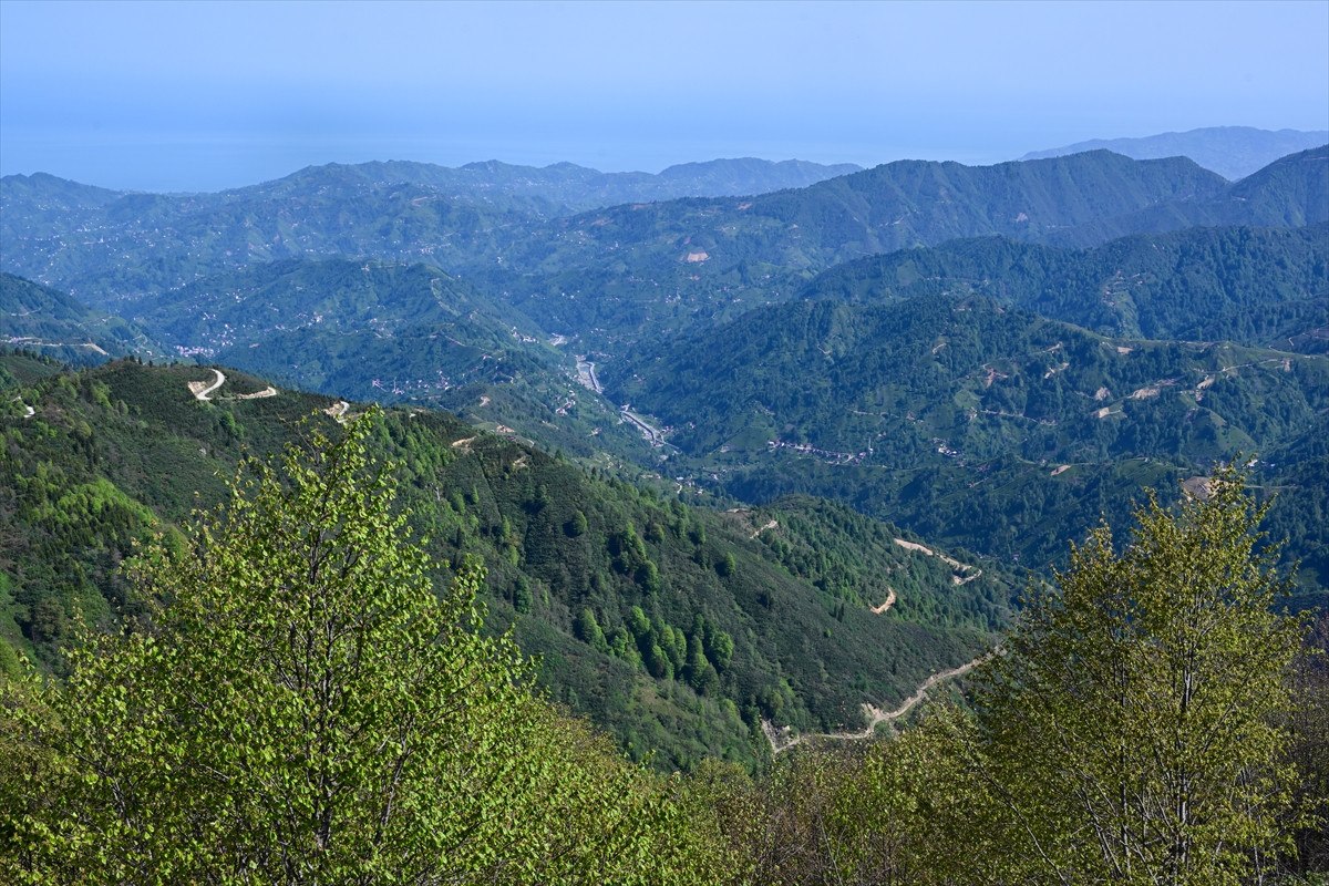 Rize'nin Turizm Potansiyeli ve Yeni Gelişmeler