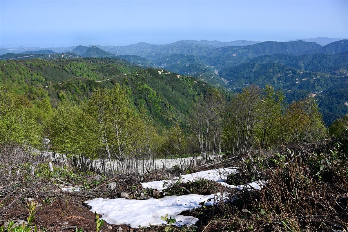 Rize'nin Turizm Potansiyeli ve Yeni Gelişmeler