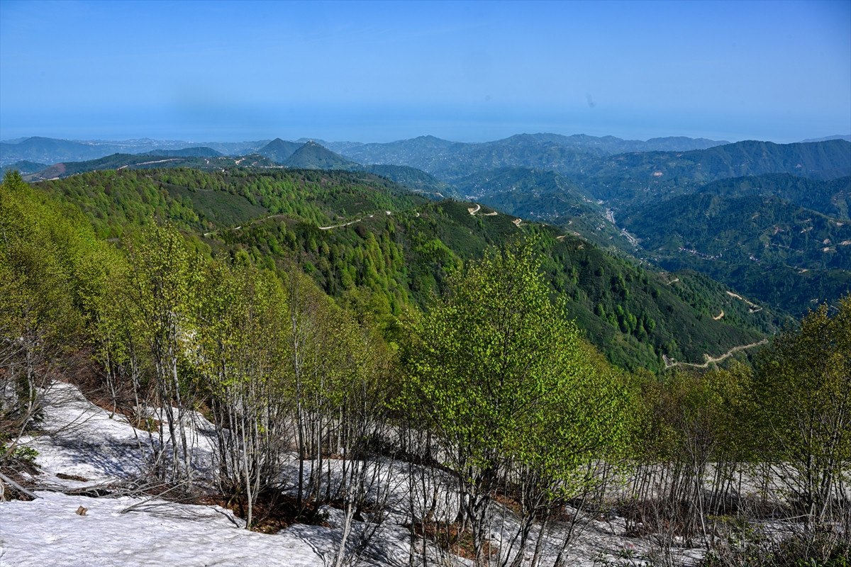 Rize'nin Turizm Potansiyeli ve Yeni Gelişmeler