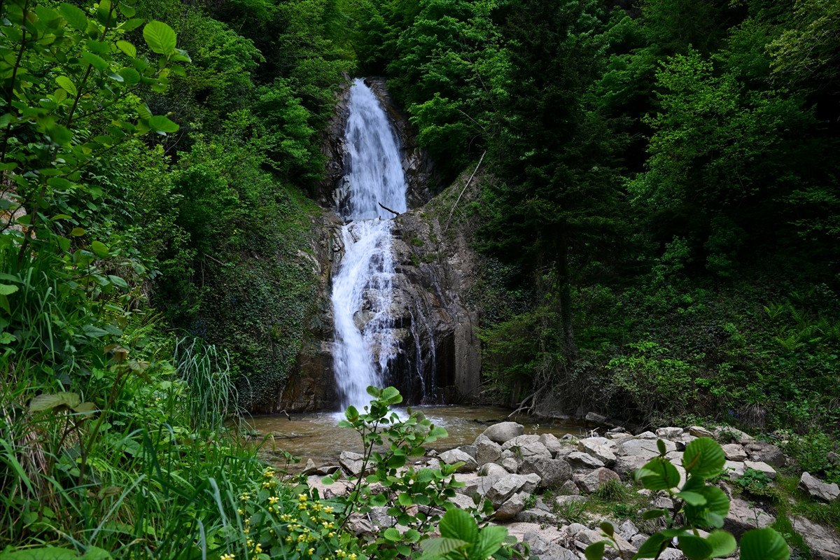 Rize'nin Turizm Potansiyeli ve Yeni Gelişmeler