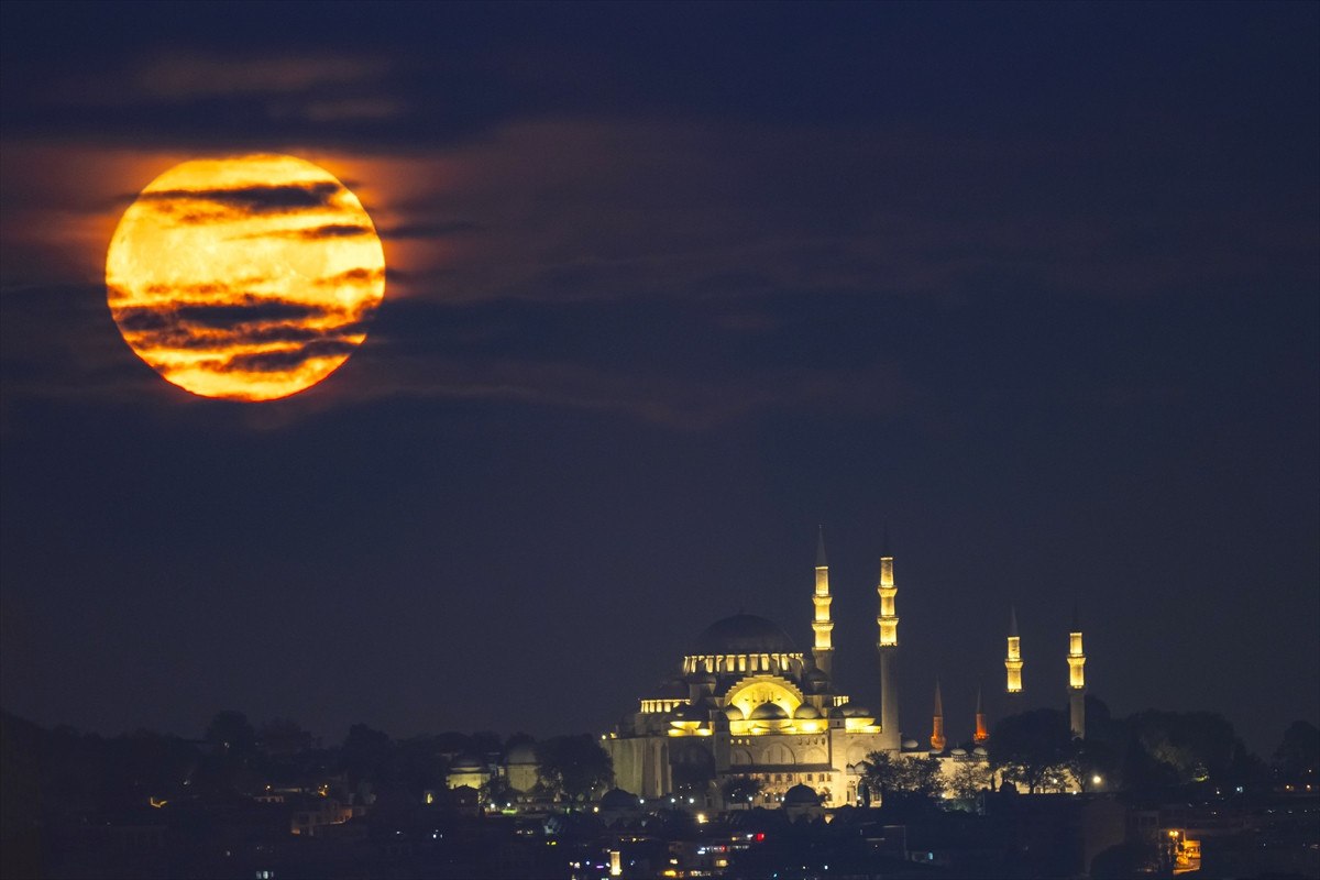 İstanbul'un Tarihi ve Doğanın Büyüleyici Buluşması