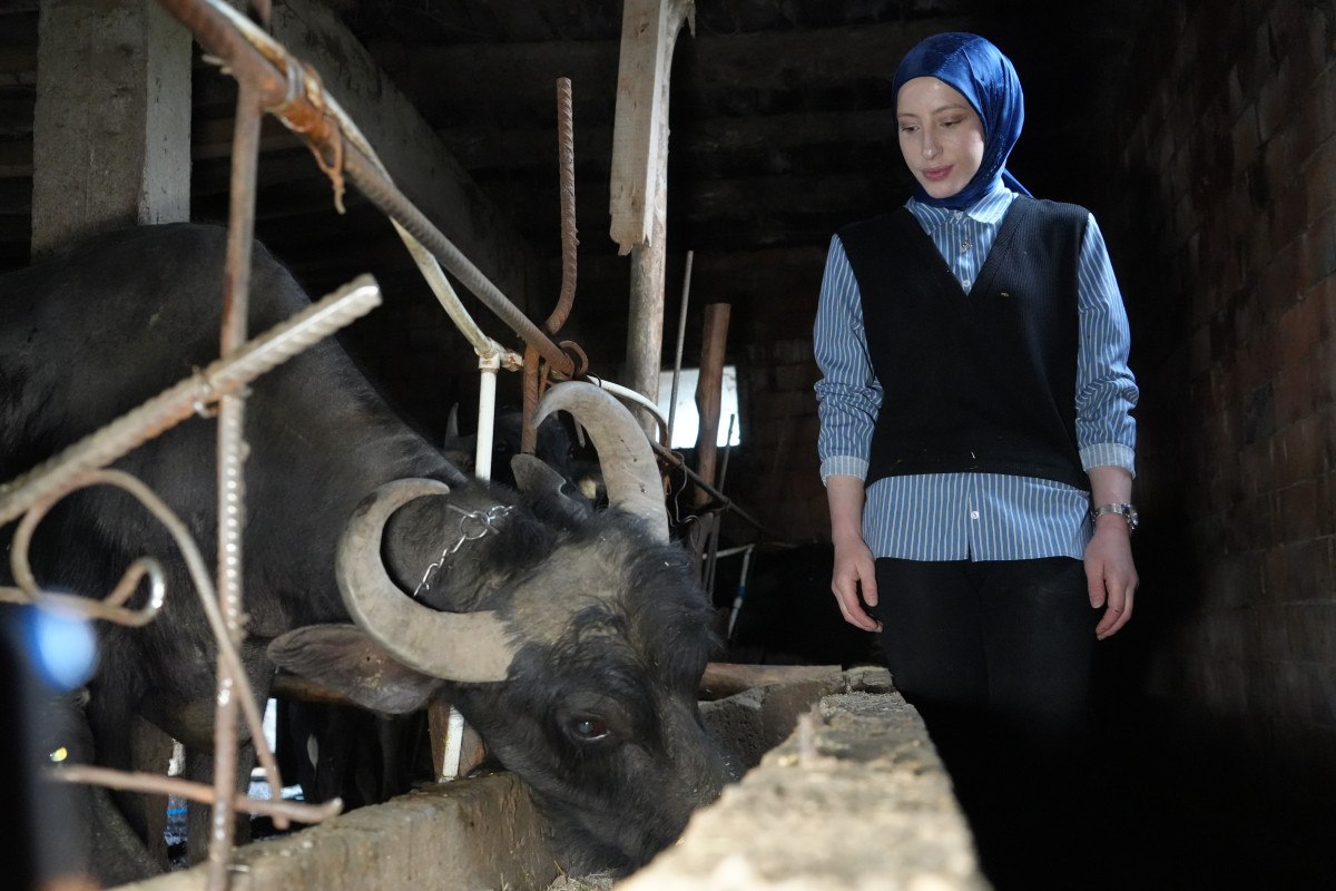 İlk Adımlar ve Gelişim Süreci