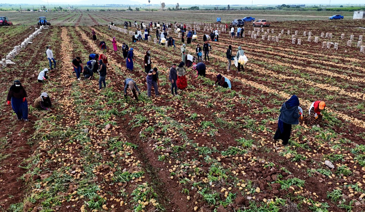 Çiftçilerin Beklentileri ve Gelecek Planları