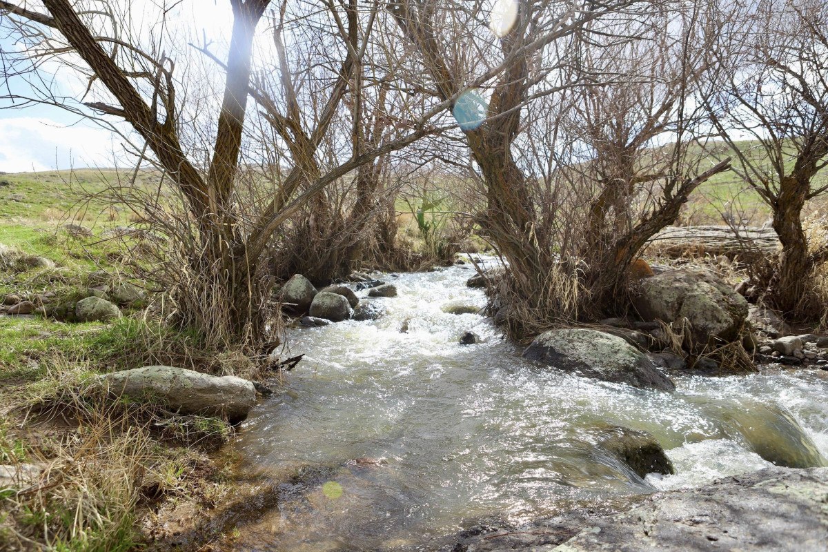 Fotoğraf Tutkunlarının Gözdesi