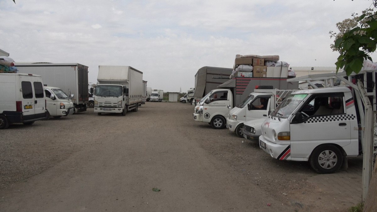 Türkiye’de Doğup Büyüyen Gençler ve Gelişen Aileler