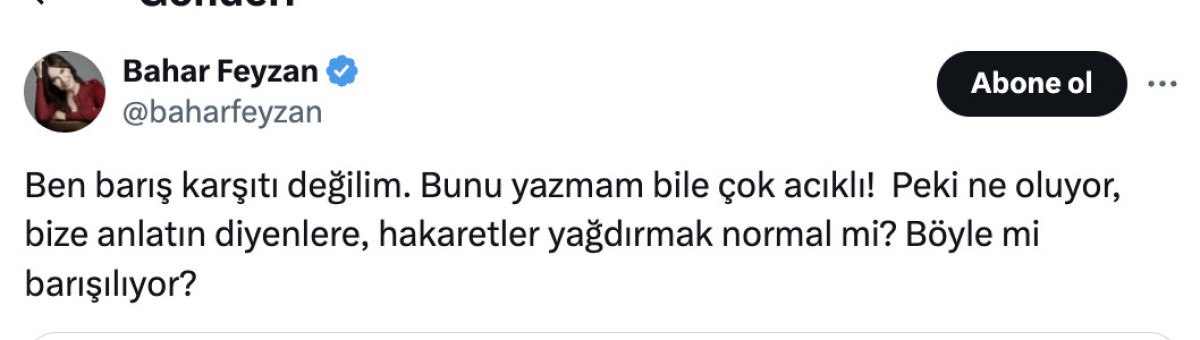 Bahar Feyzan'ın PKK'nın Fesih Kararına Yönelik Çarpıcı Yorumları