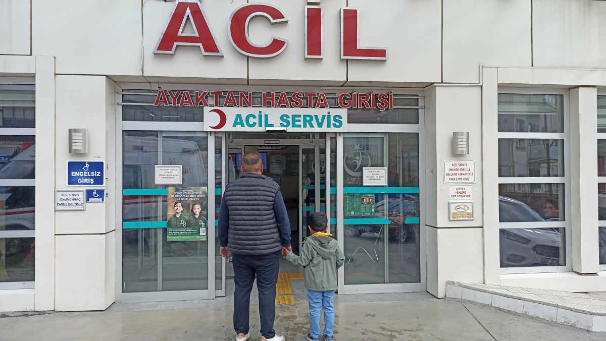 Kastamonu’da 5 yaşındaki çocuğa başıboş köpekler saldırdı