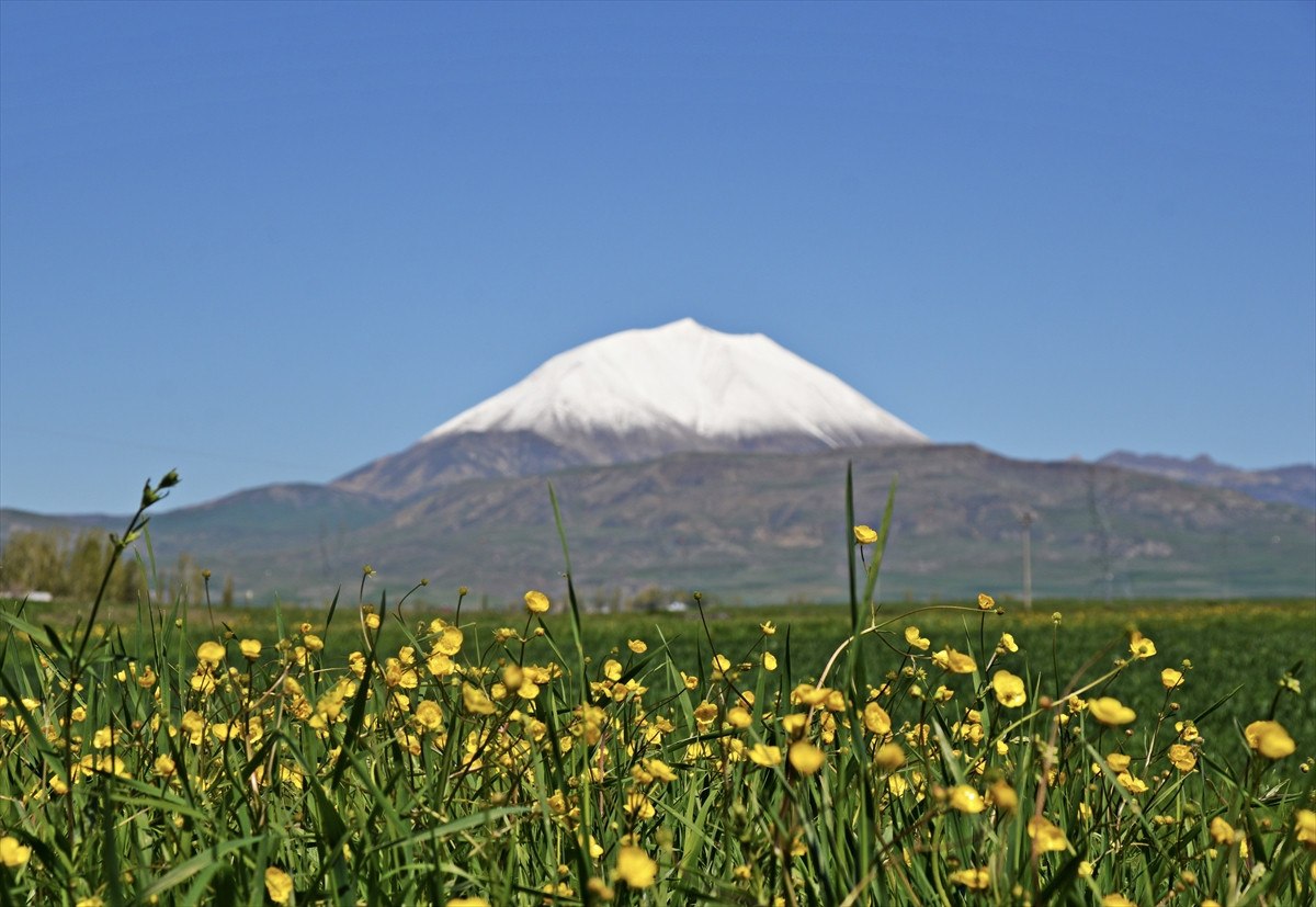 Doğa ve fotoğraf tutkunları için eşsiz bir an