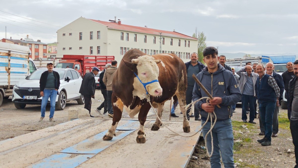 Kurban Bayramı'na Hazırlıklar Hızla Devam Ediyor