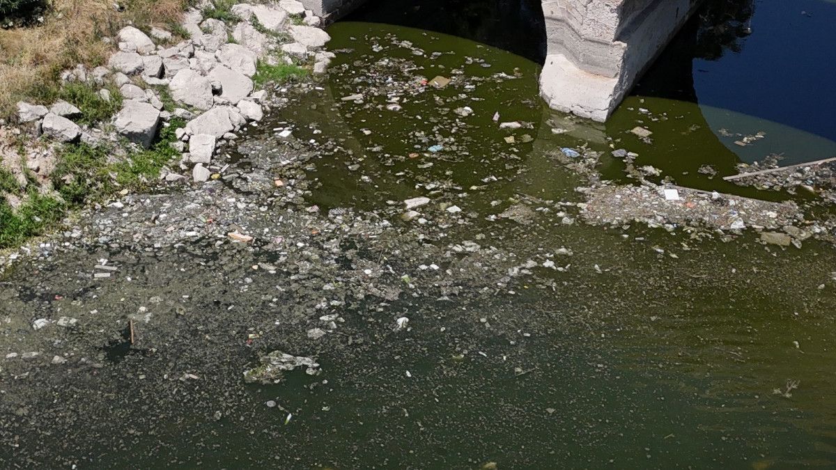 CHP yönetimindeki Seyhan Nehri’nde kirlilik: İzmir Körfezi’yle yarışıyor
