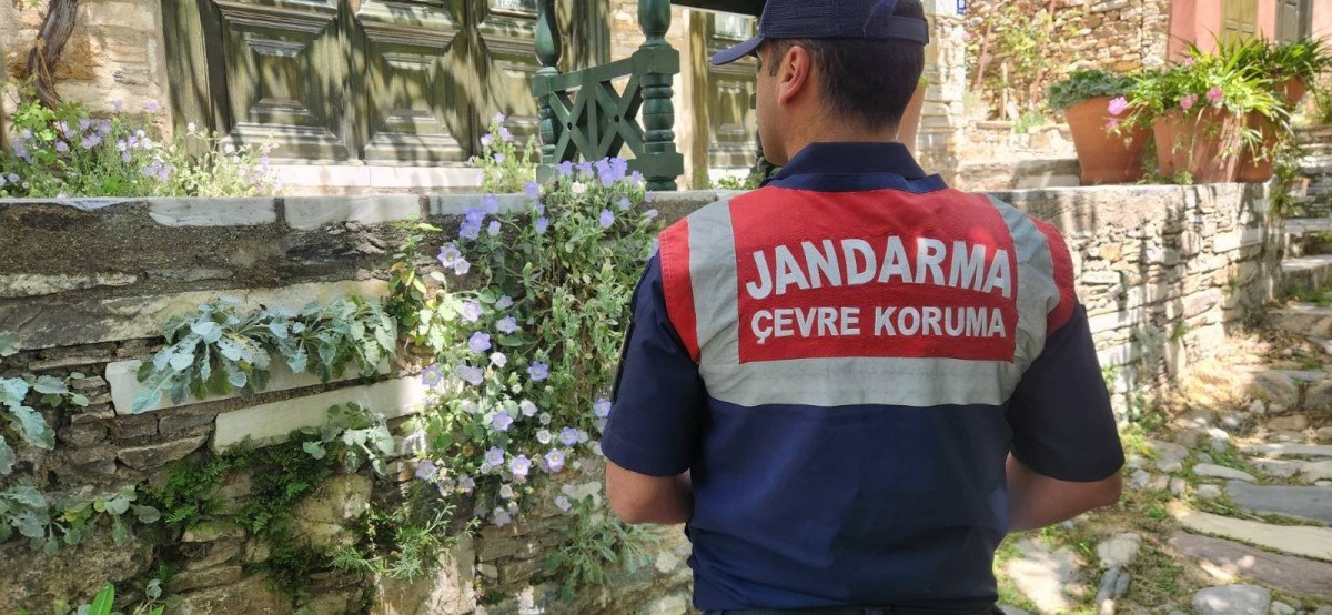 Çevre ve Doğa Koruma Çalışmaları Aralıksız Sürüyor