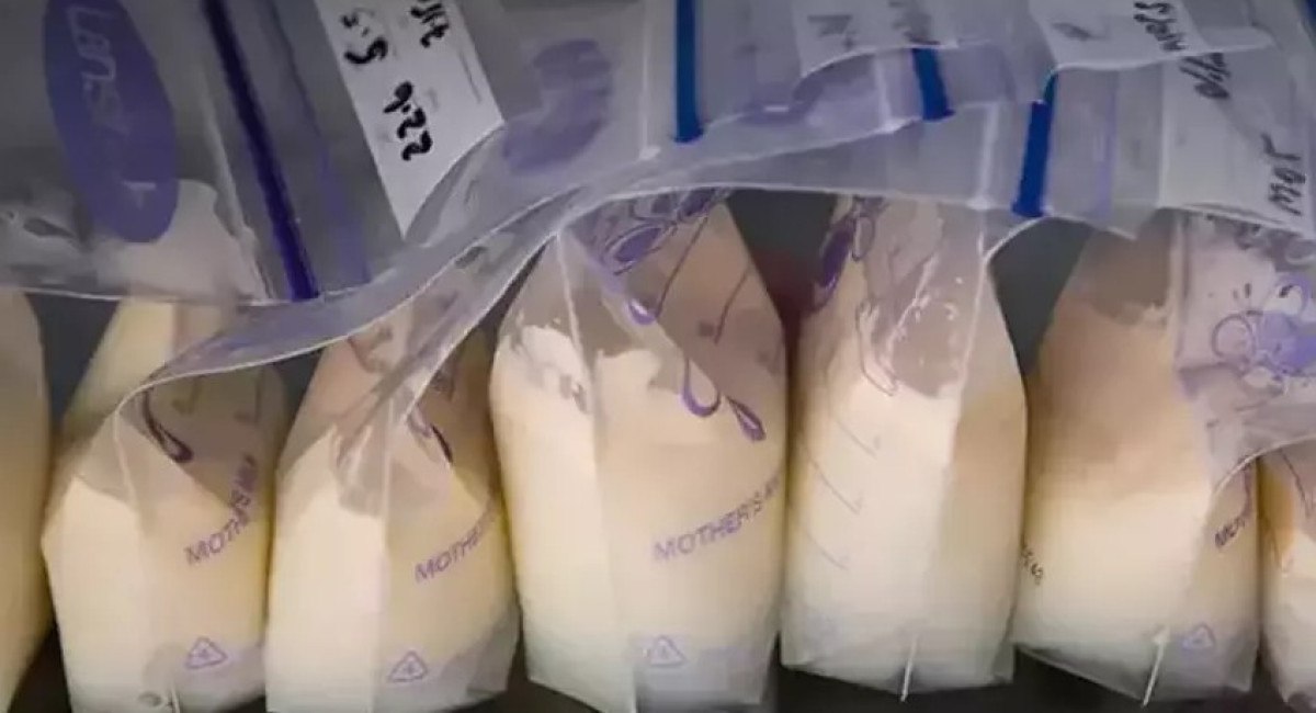 Fiyatlandırma ve Satış Şekli