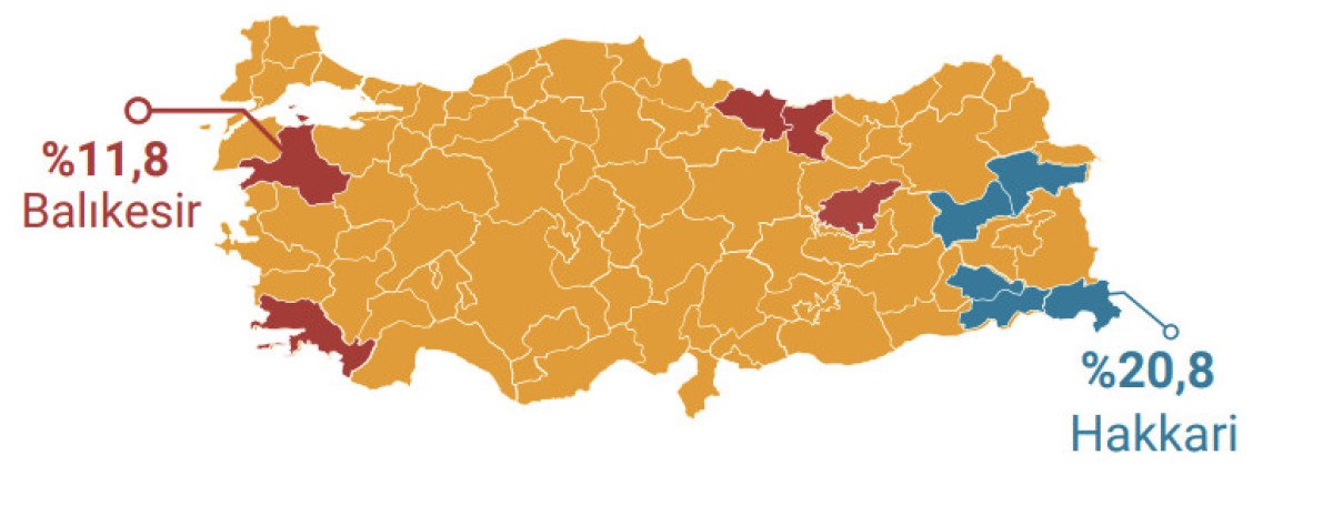 Türkiye'nin 2024 Nüfus Profili: En Genç ve En Yaşlı İller