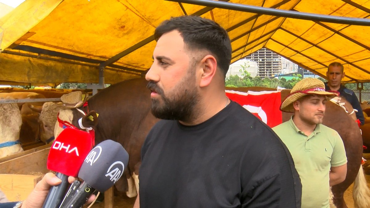 Esenyurt'taki Hayvan Pazarının Gözdesi: 'Poyraz'