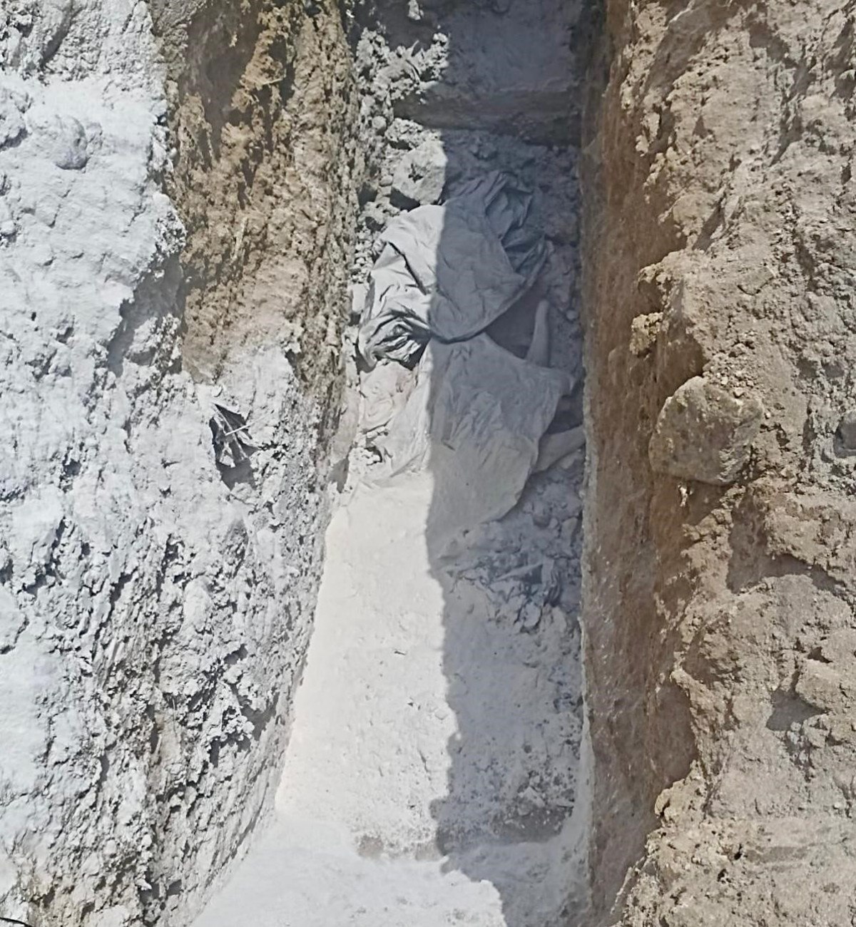 Kurban Bayramı Öncesi Hayvan Sağlığı ve Güvenliği İçin Yoğun Denetimler