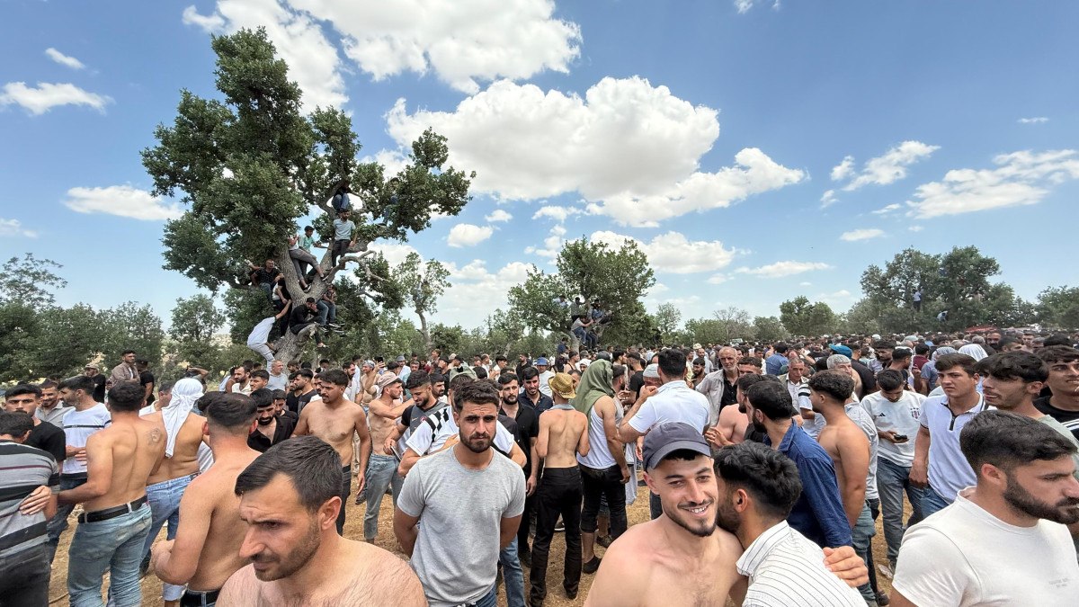 Festivaldeki Heyecan ve Sağlık Zararları