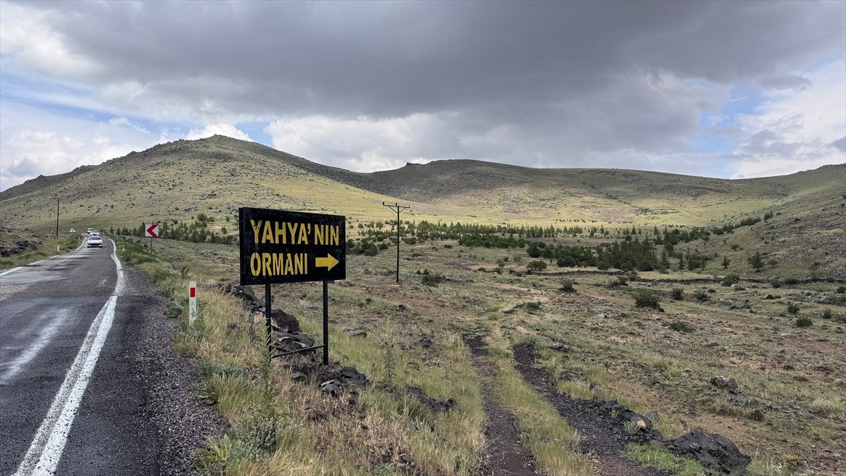 Oğlunun Anısı İçin Doğaya Katkı