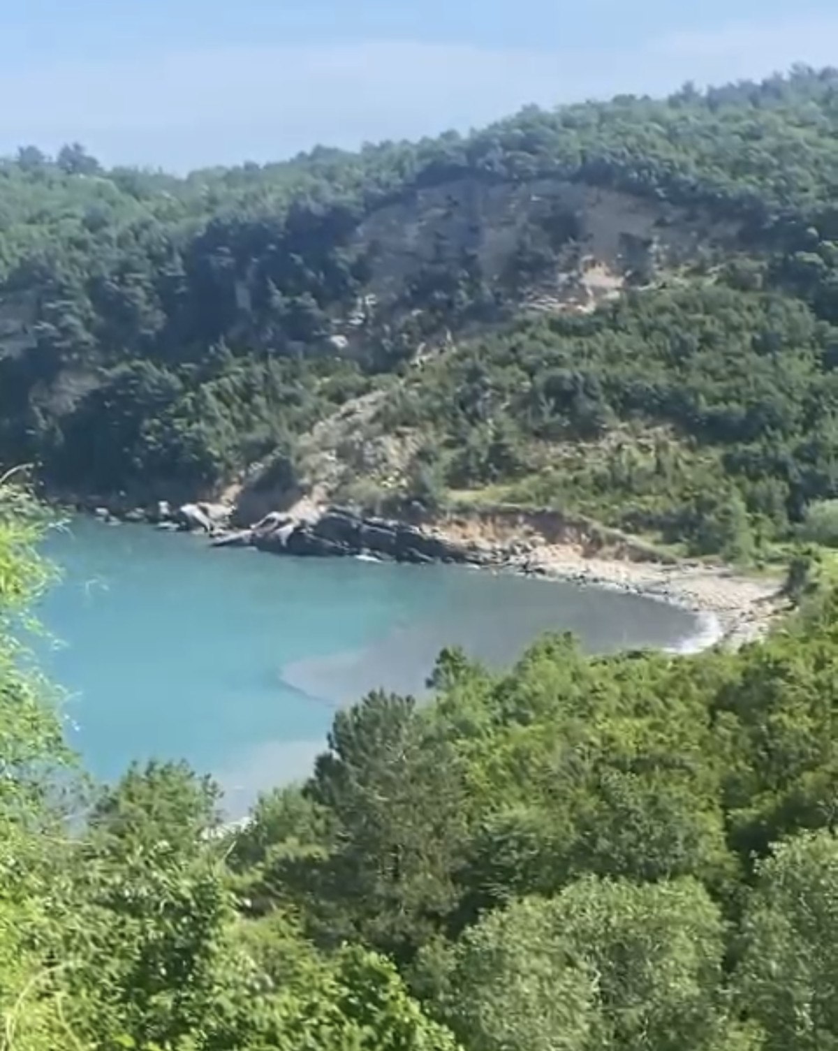 Amasra'da Deniz Kirliliği Çekti Endişe Yarattı