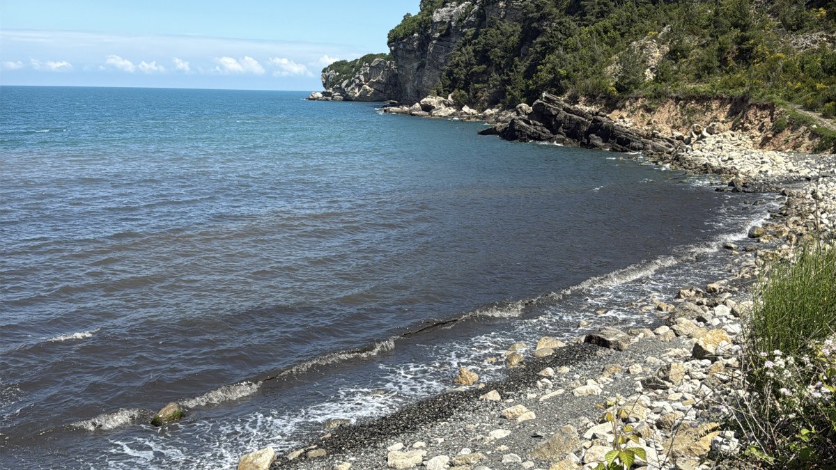 Amasra'da Deniz Kirliliği Endişeleri Artıyor