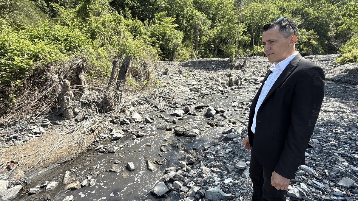 Amasra'da Deniz Kirliliği Çekti Endişe Yarattı