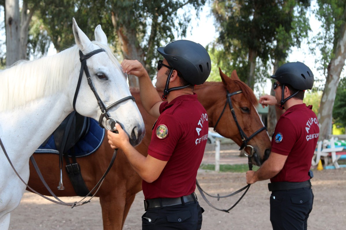 Vatandaşların Güvenliği ve Atlı Polislerin Rolü