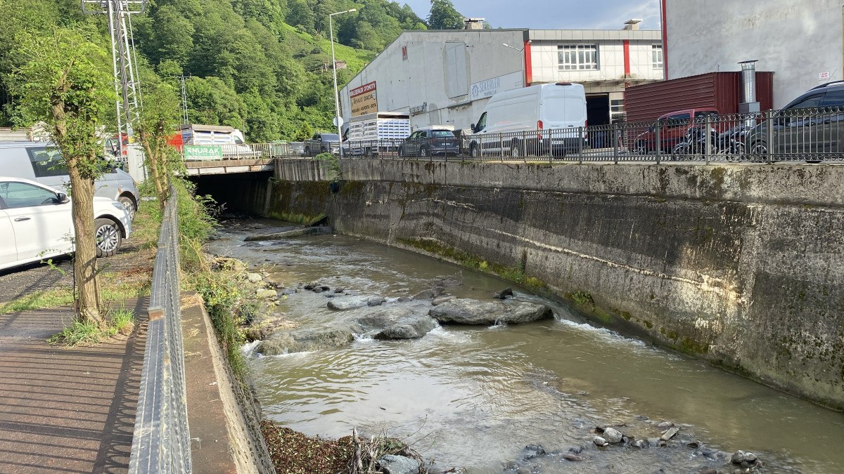 Rize'nin Çiftekavak Mahallesi'nde Balık Ölümleri Şaşkınlık Yarattı