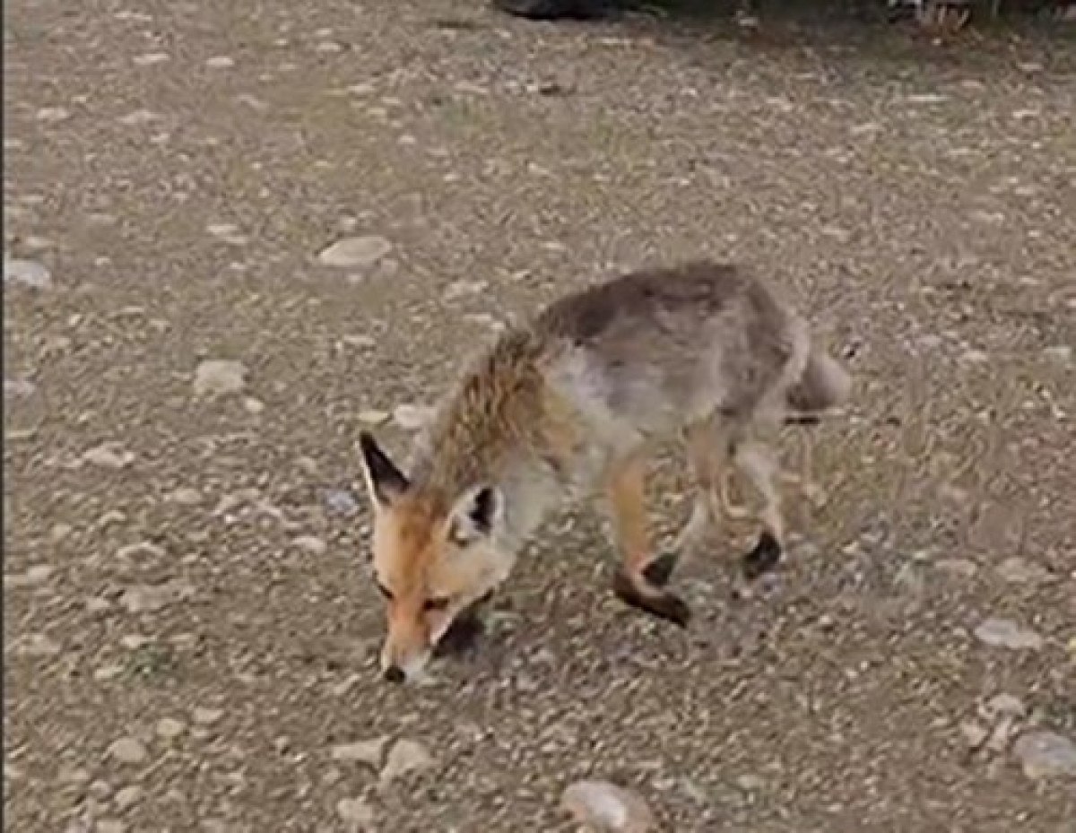 Polatlı'da Doğa ve Macera Dolu Bir Gün