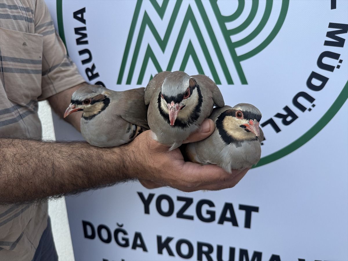 Vali Mehmet Ali Özkan, Çalatlı Keklik Üretim İstasyonu’nu Ziyaret Etti