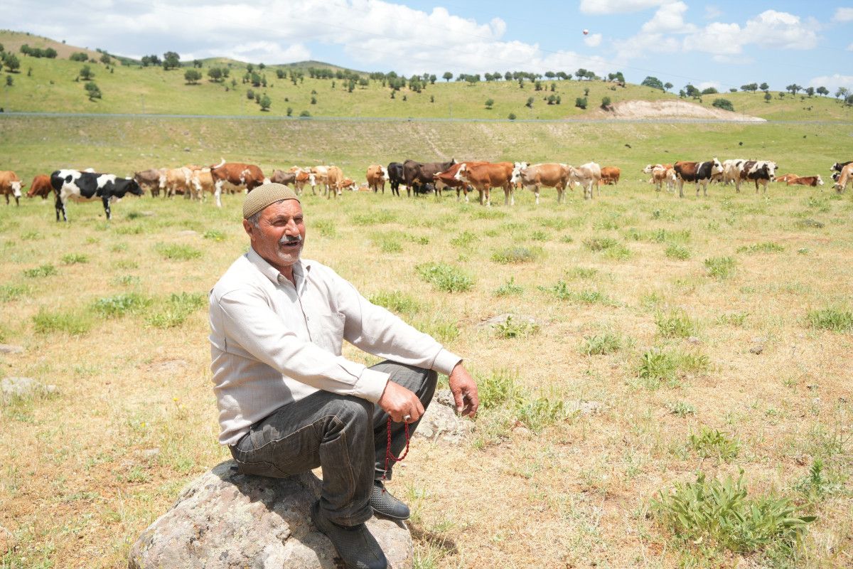 Çobanın Yüksek Maaş Talebi Şaşkınlık Yarattı
