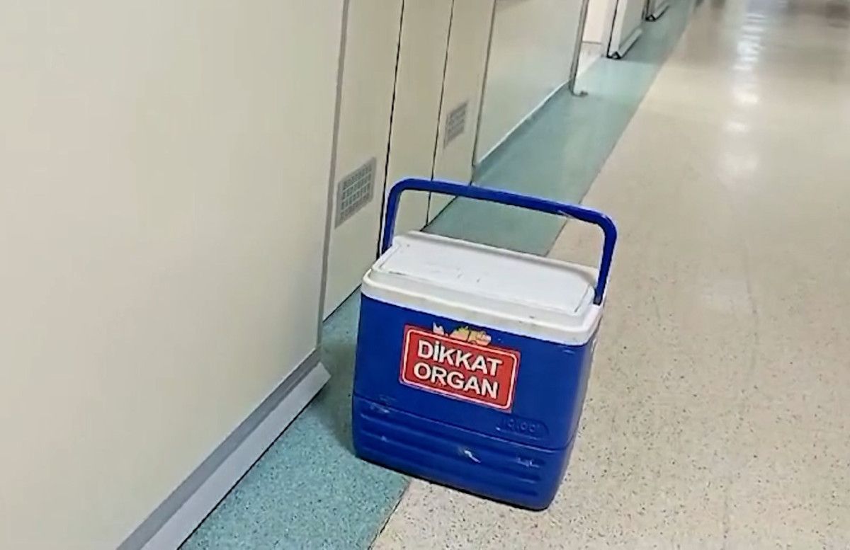 Samsun'da Genç Bir Adamın Hayatını Kaybetmesi ve Organ Bağışı