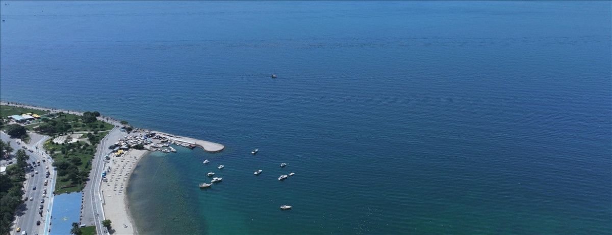 Marmara Denizi'nde Görülen Müsilaj ve Ekosistem Üzerindeki Etkileri