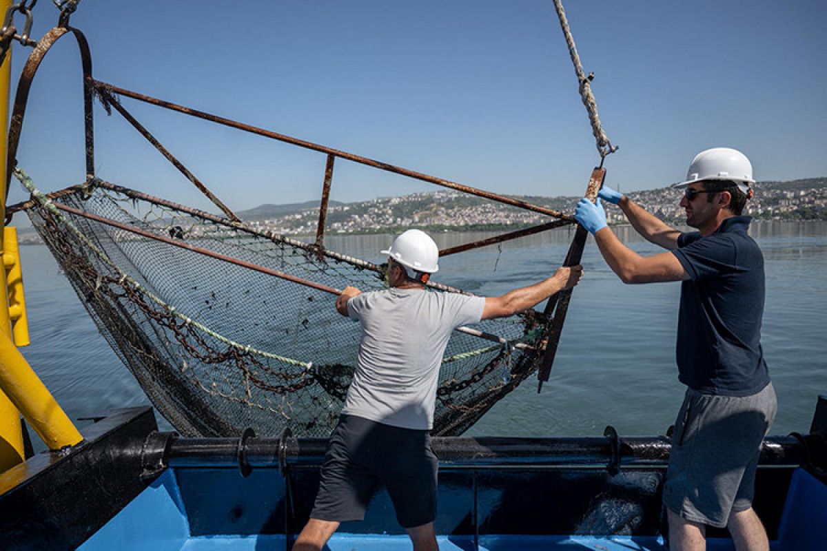 Müsilajın İzmit Körfezi ve Marmara’daki Genel Gelişimi