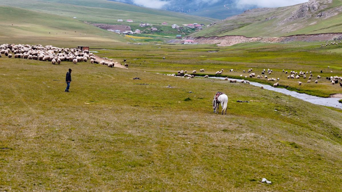 Doğa Sanatına Tanıklık Eden Manzara